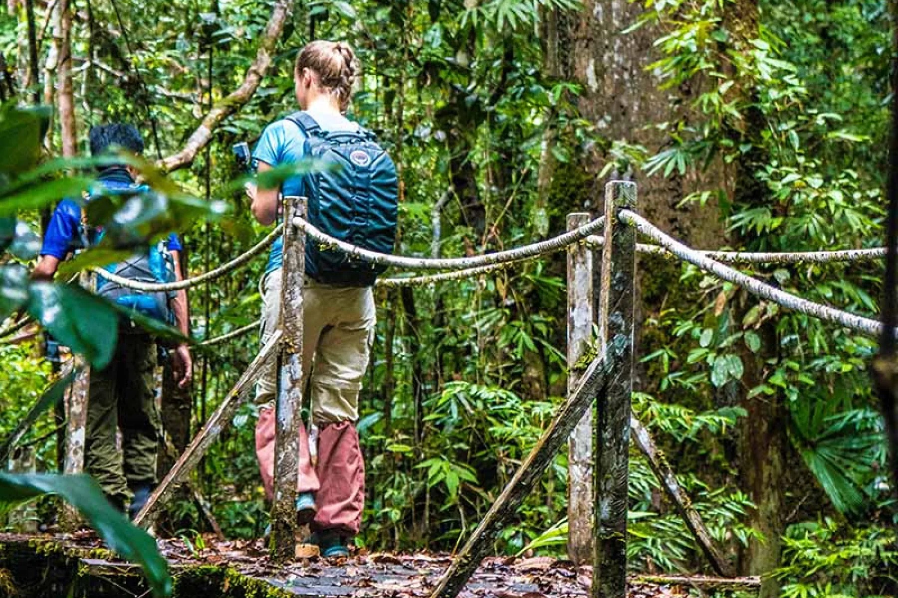 Rope-assisted climb near Maliau Falls