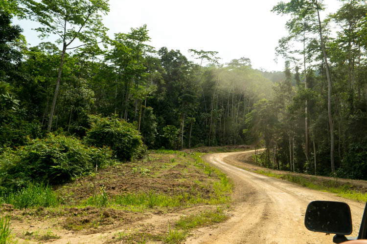 Road through Sabah interior linking east coast destinations